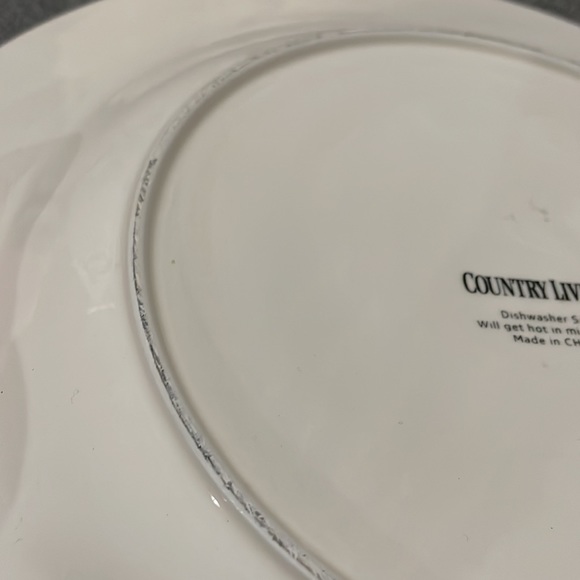 Country Living White with Red Trim Chicken and Chicks 11” Plate Hens and Chicks - Picture 7 of 8